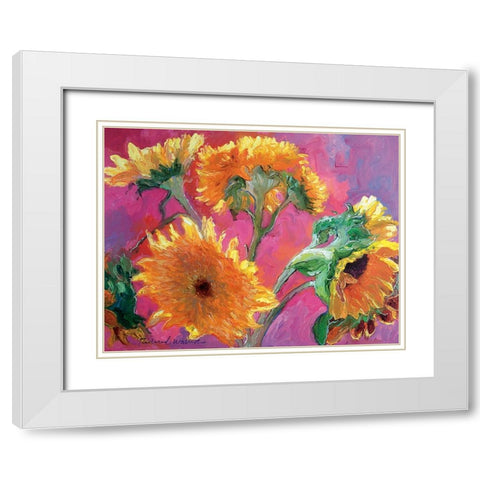 Sunflower White Modern Wood Framed Art Print with Double Matting by Wallich, Richard