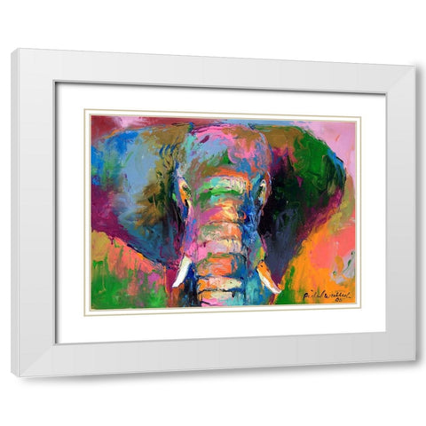 Elephant 2 White Modern Wood Framed Art Print with Double Matting by Wallich, Richard