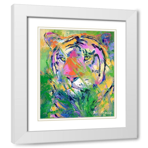 Tiger 2 White Modern Wood Framed Art Print with Double Matting by Wallich, Richard