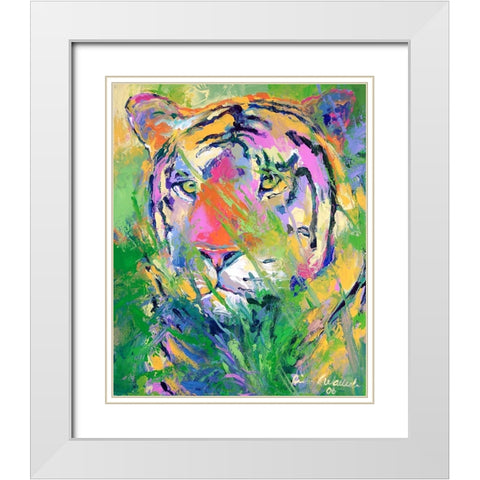 Tiger 2 White Modern Wood Framed Art Print with Double Matting by Wallich, Richard