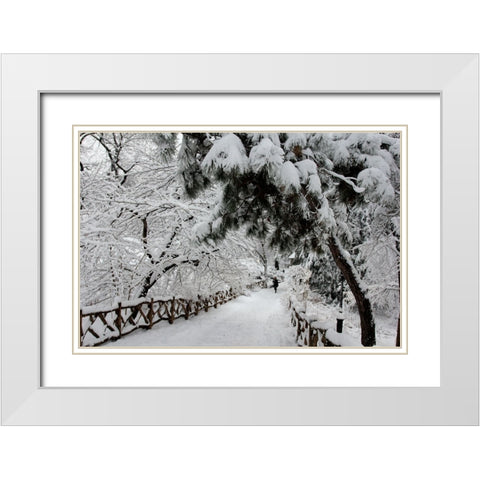 Central Park Path Deep Snow White Modern Wood Framed Art Print with Double Matting by Goldwitz, Robert