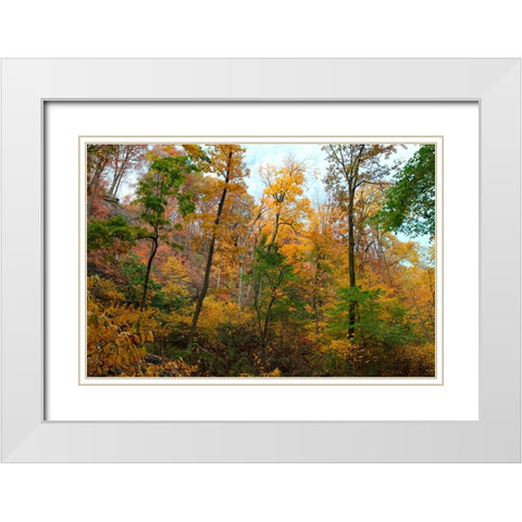 Inwood Manhattan Autumn White Modern Wood Framed Art Print with Double Matting by Goldwitz, Robert