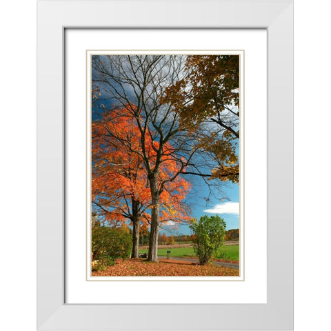 Late Fall Mailbox Vertical White Modern Wood Framed Art Print with Double Matting by Goldwitz, Robert