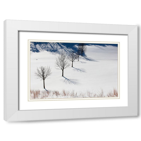 Winter Field Silhouettes White Modern Wood Framed Art Print with Double Matting by Goldwitz, Robert