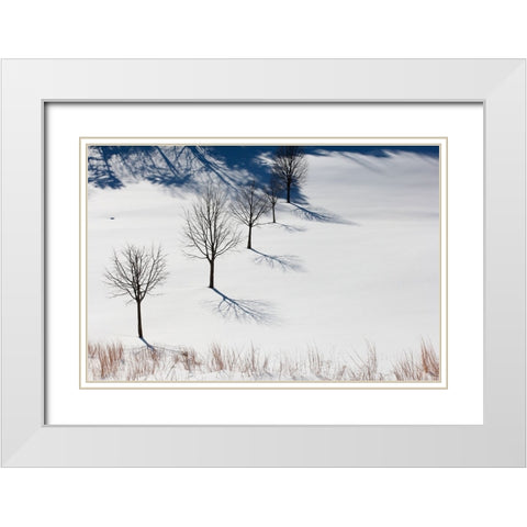 Winter Field Silhouettes White Modern Wood Framed Art Print with Double Matting by Goldwitz, Robert