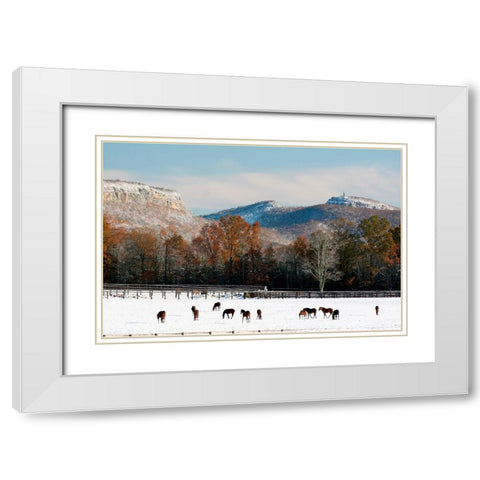 Early Snow Horse Paddock White Modern Wood Framed Art Print with Double Matting by Goldwitz, Robert