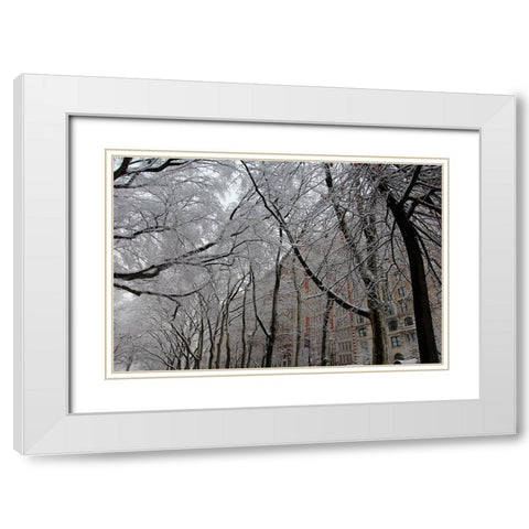 Snow Covered Trees Apartments White Modern Wood Framed Art Print with Double Matting by Goldwitz, Robert