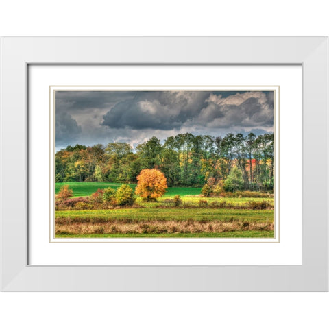Drak Sky Shiningtree White Modern Wood Framed Art Print with Double Matting by Goldwitz, Robert