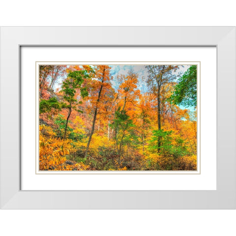 Inwood Park Horizontal White Modern Wood Framed Art Print with Double Matting by Goldwitz, Robert