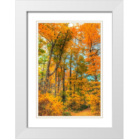Inwood Park Vertical White Modern Wood Framed Art Print with Double Matting by Goldwitz, Robert