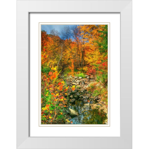 Low Water Brook Autumn White Modern Wood Framed Art Print with Double Matting by Goldwitz, Robert
