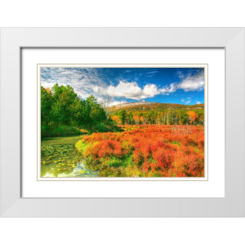 Whitecliffs White Modern Wood Framed Art Print with Double Matting by Goldwitz, Robert
