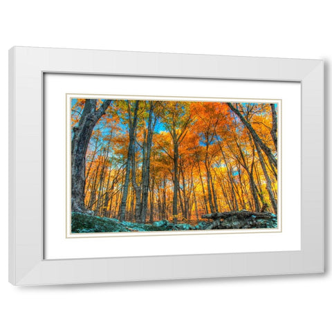 Winding Hills Park White Modern Wood Framed Art Print with Double Matting by Goldwitz, Robert