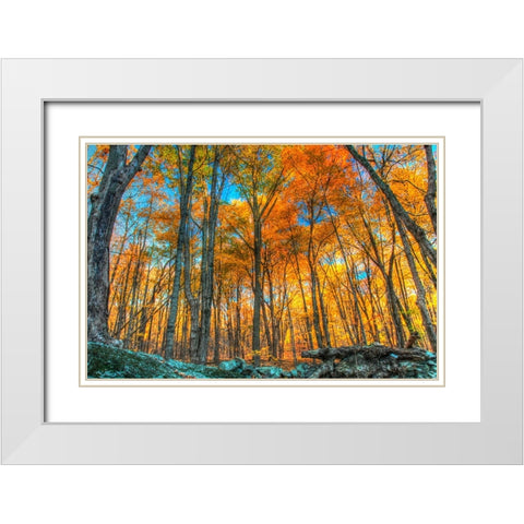Winding Hills Park White Modern Wood Framed Art Print with Double Matting by Goldwitz, Robert