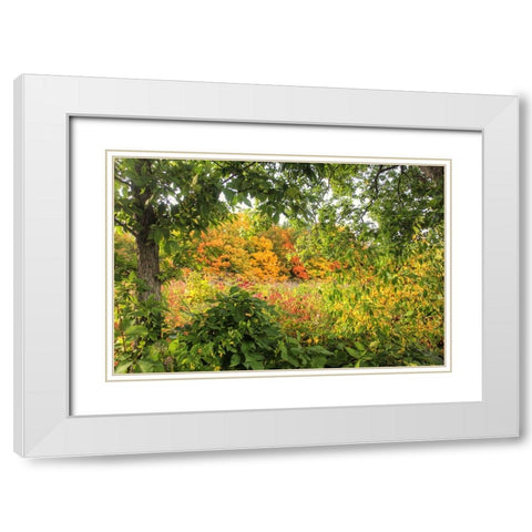 Autumn Colors White Modern Wood Framed Art Print with Double Matting by Goldwitz, Robert