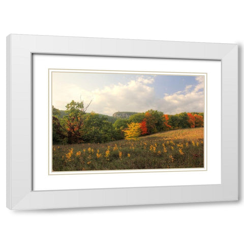 Mohonk Autumn White Modern Wood Framed Art Print with Double Matting by Goldwitz, Robert