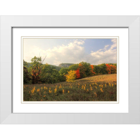 Mohonk Autumn White Modern Wood Framed Art Print with Double Matting by Goldwitz, Robert