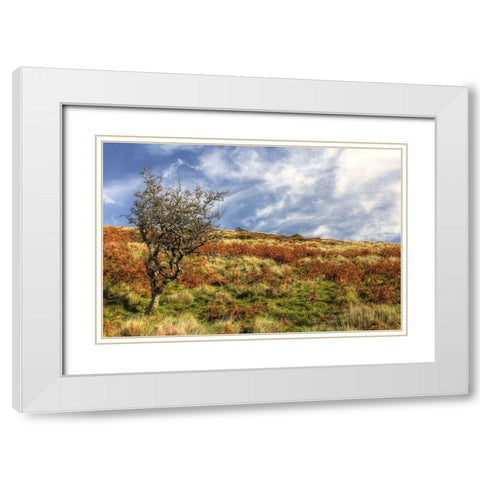 Wales Hillside and Sky White Modern Wood Framed Art Print with Double Matting by Goldwitz, Robert