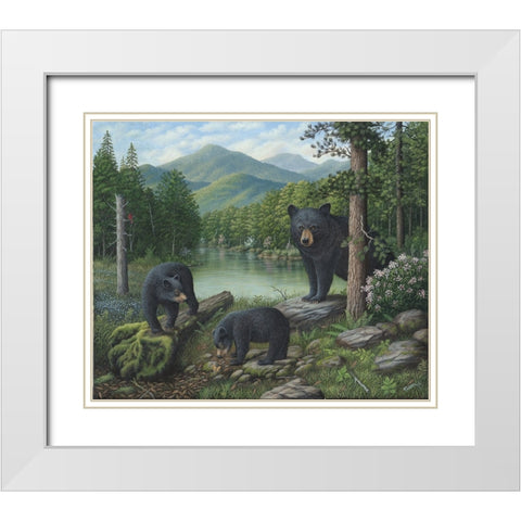 Watching The Cubs Play White Modern Wood Framed Art Print with Double Matting by Wavra, Robert