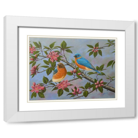 Bluebirds White Modern Wood Framed Art Print with Double Matting by Wavra, Robert