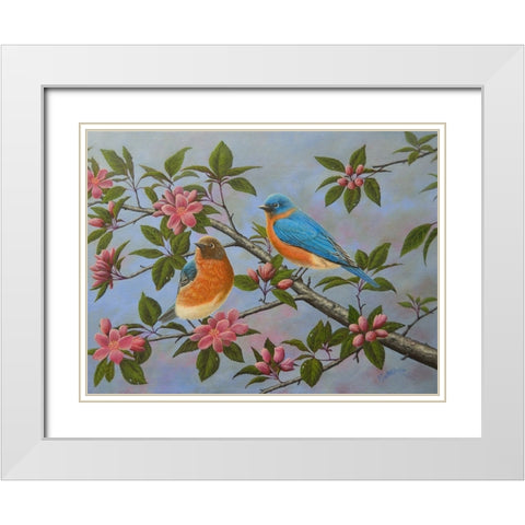 Bluebirds White Modern Wood Framed Art Print with Double Matting by Wavra, Robert
