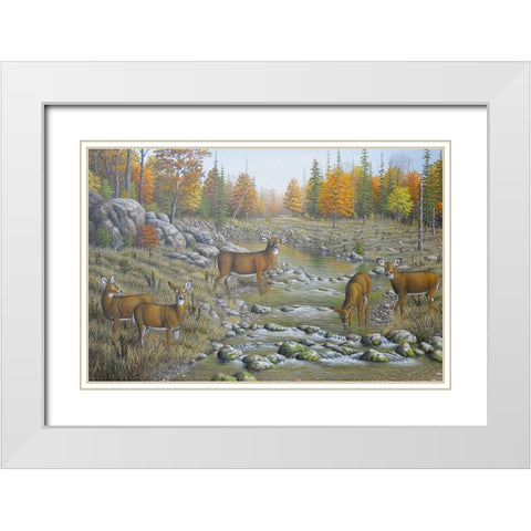 Autumn Whitetails White Modern Wood Framed Art Print with Double Matting by Wavra, Robert
