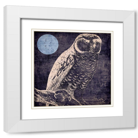 Owl 1 White Modern Wood Framed Art Print with Double Matting by Sasha