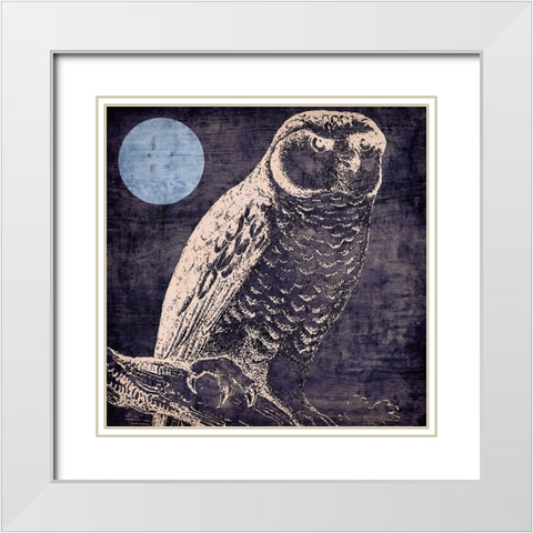 Owl 1 White Modern Wood Framed Art Print with Double Matting by Sasha