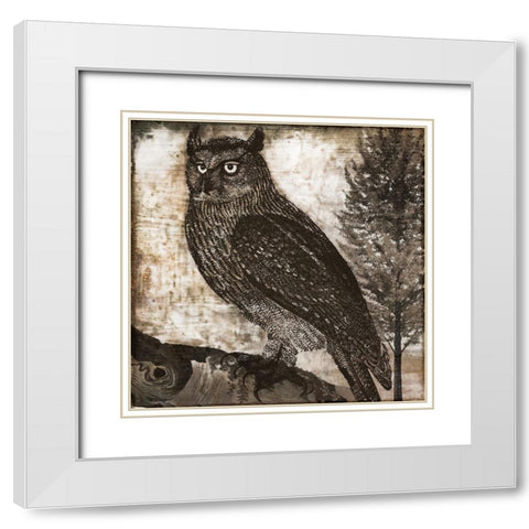 Owl 2 White Modern Wood Framed Art Print with Double Matting by Sasha