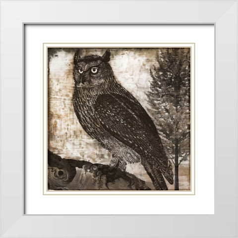 Owl 2 White Modern Wood Framed Art Print with Double Matting by Sasha