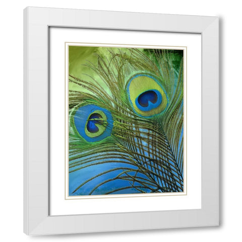 Peacock Candy I White Modern Wood Framed Art Print with Double Matting by Sasha