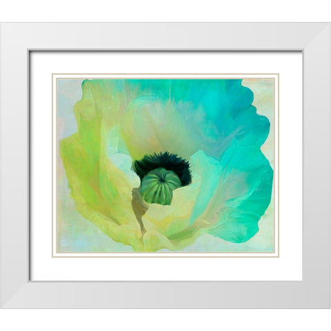 Poppy Gradient I White Modern Wood Framed Art Print with Double Matting by Sasha