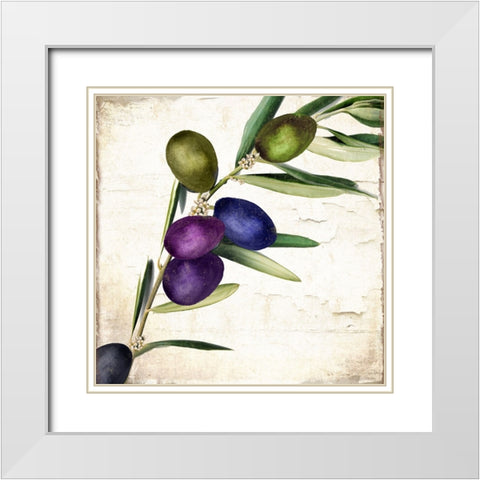Olive Branch III White Modern Wood Framed Art Print with Double Matting by Sasha