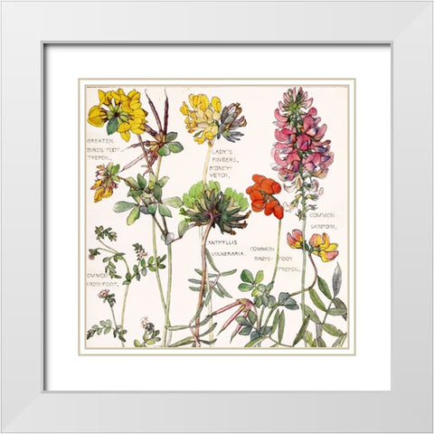 Ambrosia 5 White Modern Wood Framed Art Print with Double Matting by Sasha