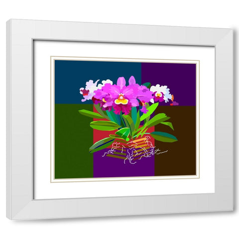 Cattleya Orchid White Modern Wood Framed Art Print with Double Matting by Pansanit, Surapol