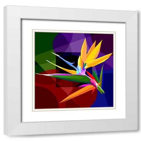 Bird Of Paradise 001 White Modern Wood Framed Art Print with Double Matting by Pansanit, Surapol