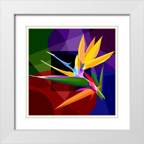 Bird Of Paradise 001 White Modern Wood Framed Art Print with Double Matting by Pansanit, Surapol