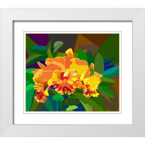 Cattleya Orchid 2 White Modern Wood Framed Art Print with Double Matting by Pansanit, Surapol