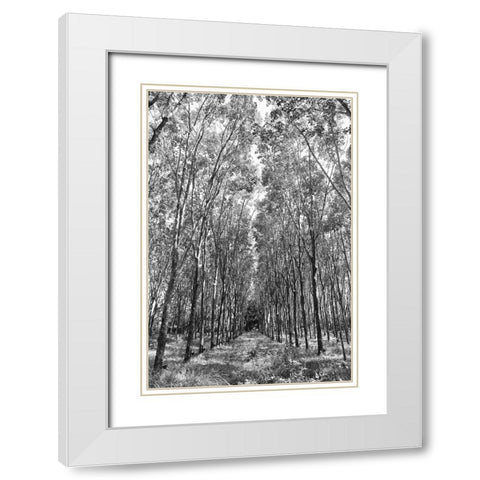 Through The Trees White Modern Wood Framed Art Print with Double Matting by Susan Vizvary Photography