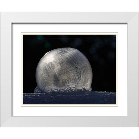 Frozen Bubble White Modern Wood Framed Art Print with Double Matting by Bonin, Suzanne