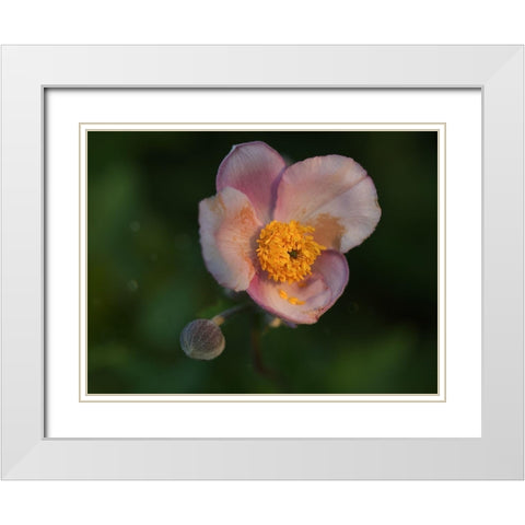 Hello World White Modern Wood Framed Art Print with Double Matting by Bonin, Suzanne