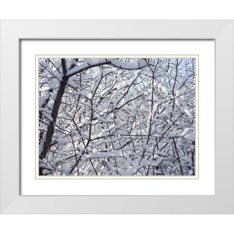 Still Winter White Modern Wood Framed Art Print with Double Matting by Bonin, Suzanne