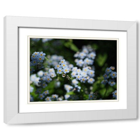 Beautiful Day White Modern Wood Framed Art Print with Double Matting by Bonin, Suzanne