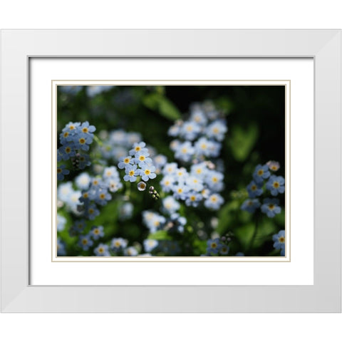 Beautiful Day White Modern Wood Framed Art Print with Double Matting by Bonin, Suzanne