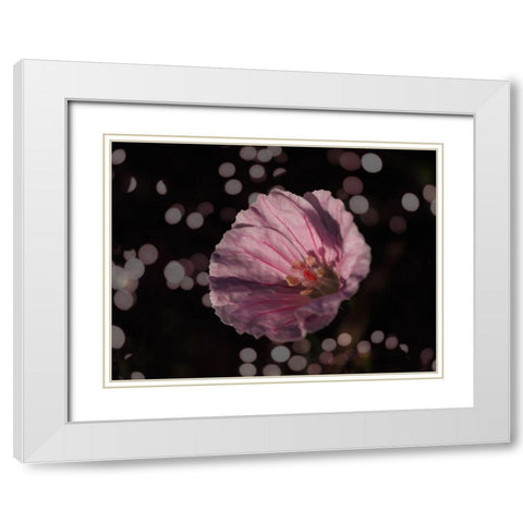 Bloody Cranesbill White Modern Wood Framed Art Print with Double Matting by Bonin, Suzanne