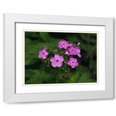 Bouquet In Nature White Modern Wood Framed Art Print with Double Matting by Bonin, Suzanne