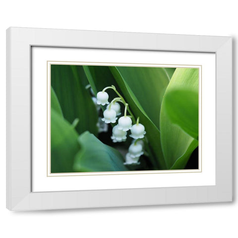 Clochettes White Modern Wood Framed Art Print with Double Matting by Bonin, Suzanne