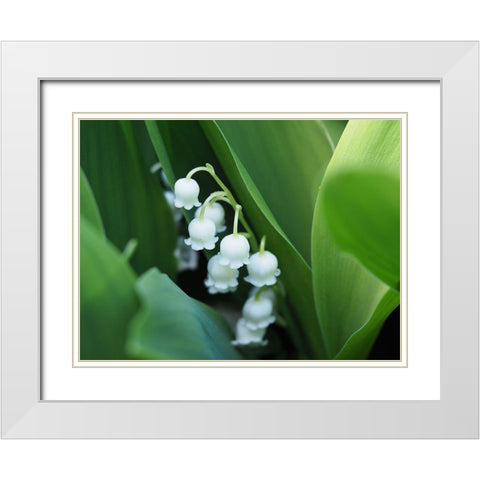 Clochettes White Modern Wood Framed Art Print with Double Matting by Bonin, Suzanne