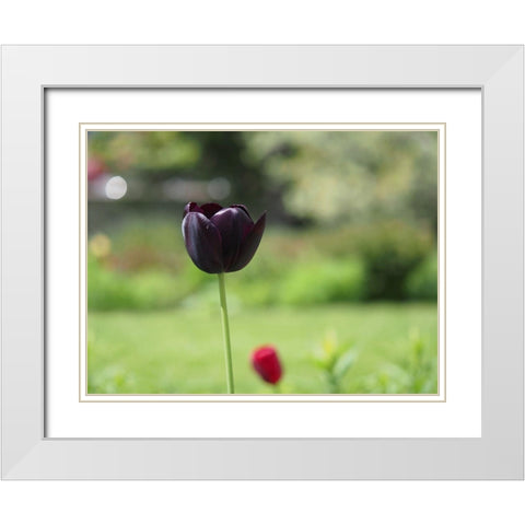 Dark Beauty White Modern Wood Framed Art Print with Double Matting by Bonin, Suzanne