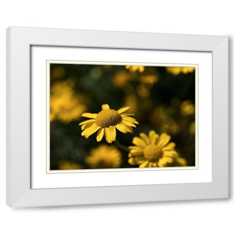 Dreamy White Modern Wood Framed Art Print with Double Matting by Bonin, Suzanne
